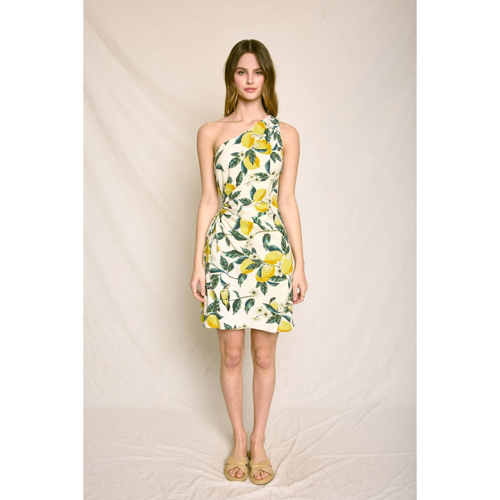 Amalfi Coast Lemon Grove Mini Dress